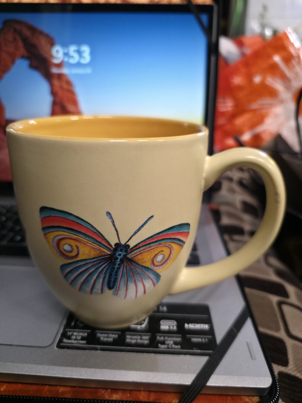 Disney Epcot Flower & Garden Festival Butterfly Ceramic Coffee Mug Tea Cup 2008